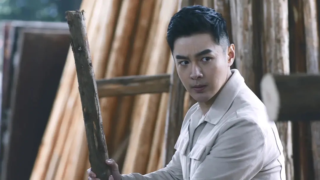 重生路铭嘉崇拜秦驰,重生路铭嘉秦驰