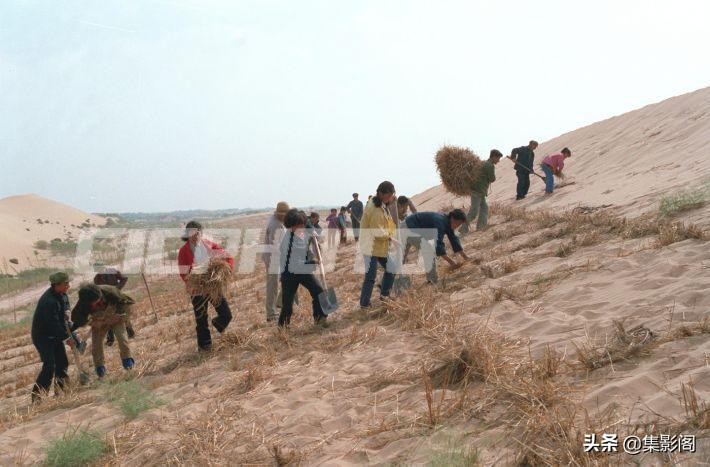 榆林市镇川镇老照片 (榆林市卫校老照片)