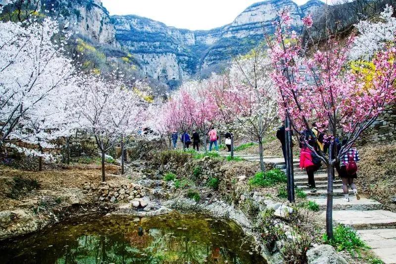 淄博免费领门票,淄博周边免票
