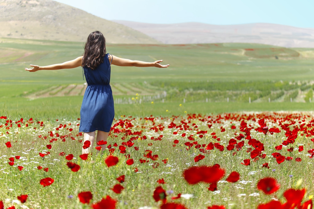 *楼青**里的妇道有什么价值