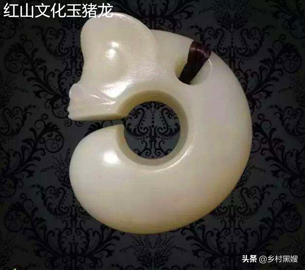 古时候真的有龙和蛟吗,解密古代真有龙么