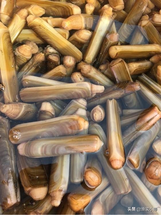 连云港地方特产有哪些,连云港地方特产市场