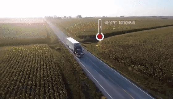 长春生鲜冷链配送,长春蔬果生鲜配送新鲜直达