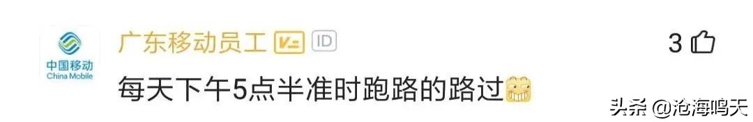 国企程序员都做什么的呀,国企程序员都做什么工作