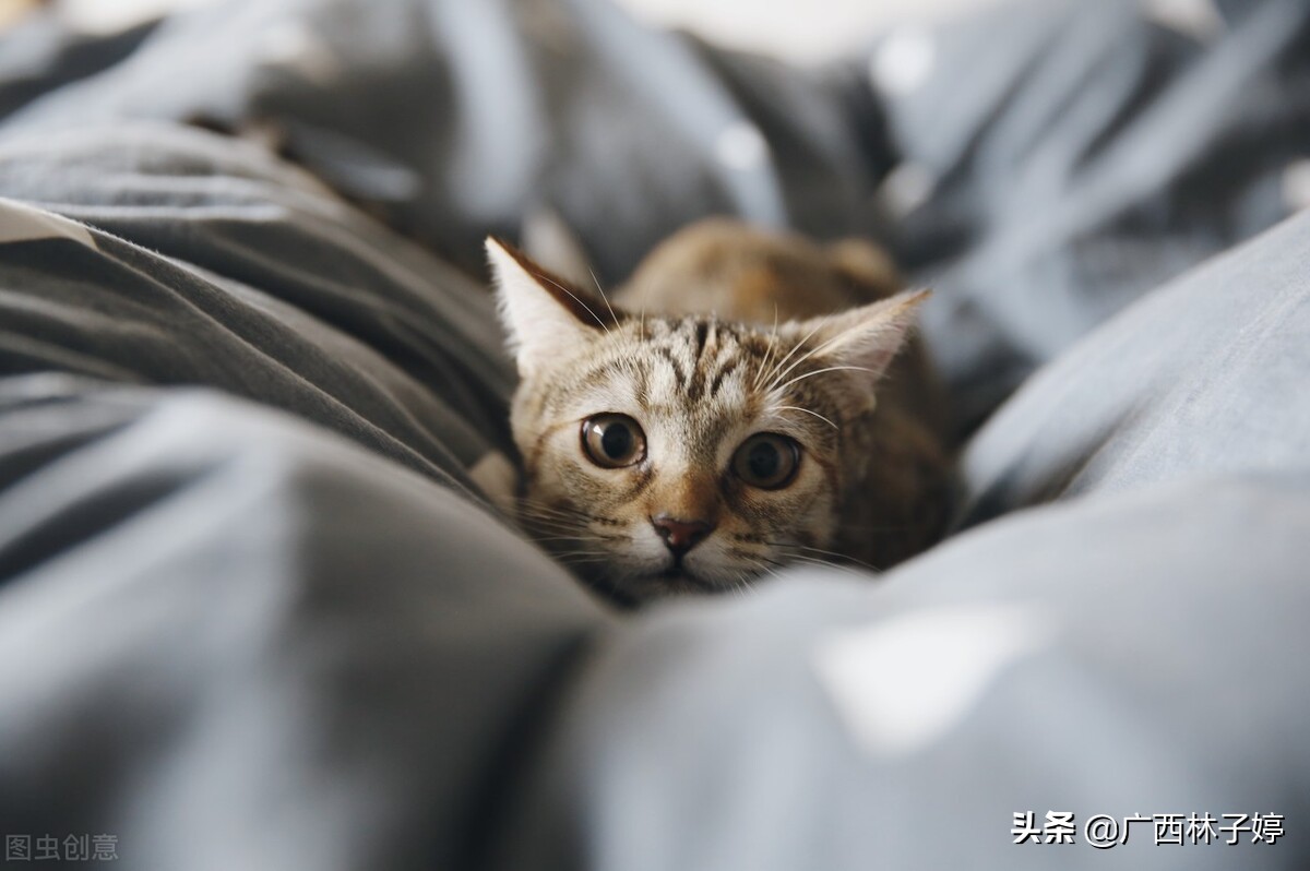 蚕丝被洗晒方法,蚕丝被能洗晒吗