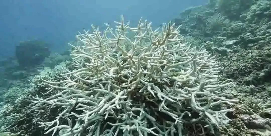 脸部严重晒伤怎么修复好得快,脸部轻微晒伤如何快速修复好