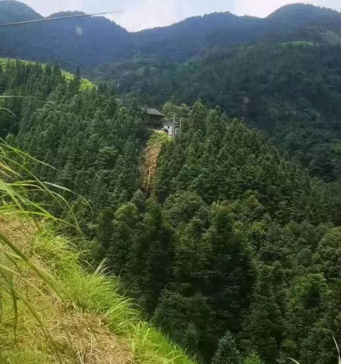网红乞丐哥的没落人生,网红乞丐哥拐卖的女孩子