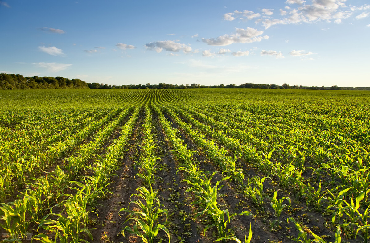 岳阳最新批复项目,岳阳市2024年省重点项目名单