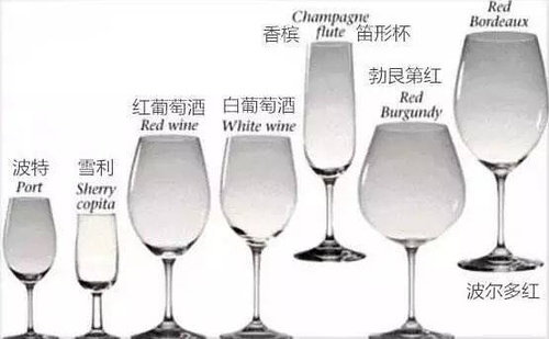 怎样学习红酒入门,红酒知识入门视频教程