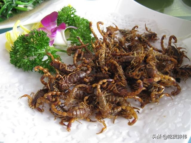 全国各地特色黑暗料理食物,全国各地特色暗黑零食