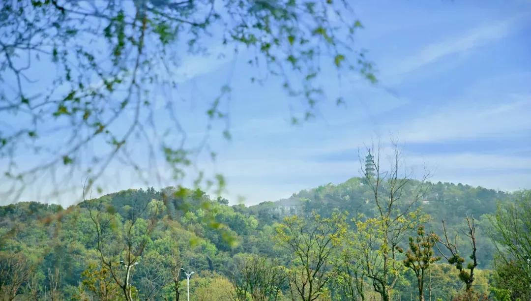 江苏省高校（三十一）苏州科技大学
