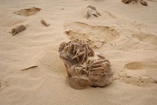 娌欐紶鏃呮父閬囦笂绁炵鍦伴亾,娓稿鍘绘矙婕犲彂鐜扮帿鐟扮煶