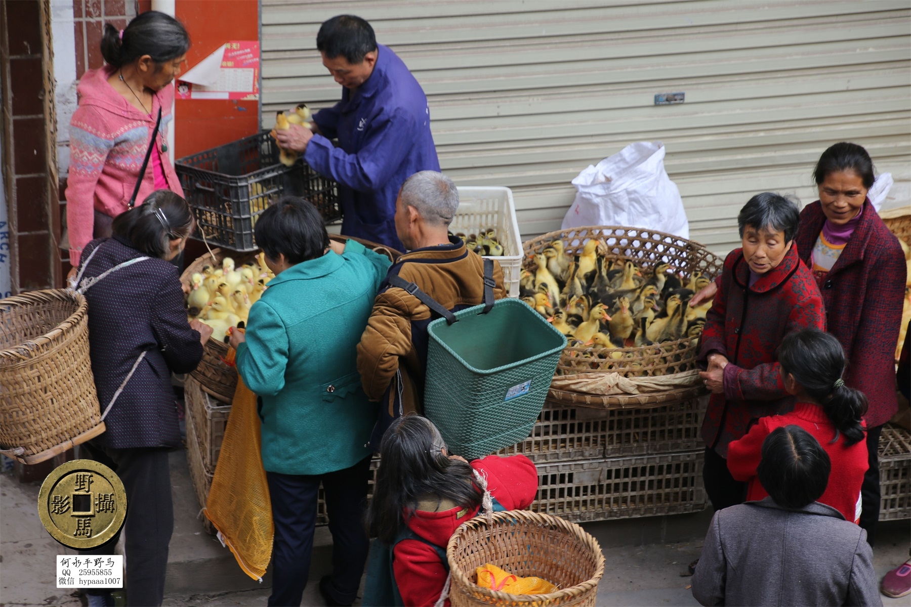 广安撤县名单查询,70年广安县有多少个人民公社
