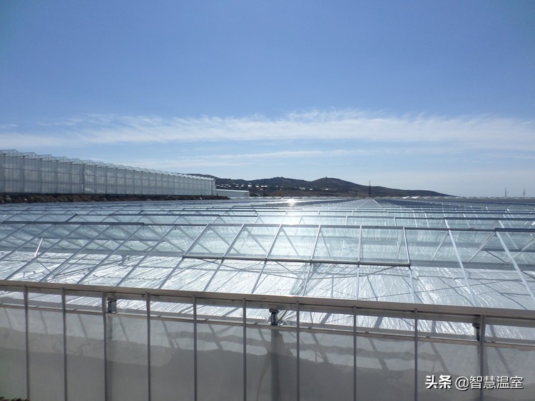 专业的玻璃温室大棚建造,温室大棚生产及设计