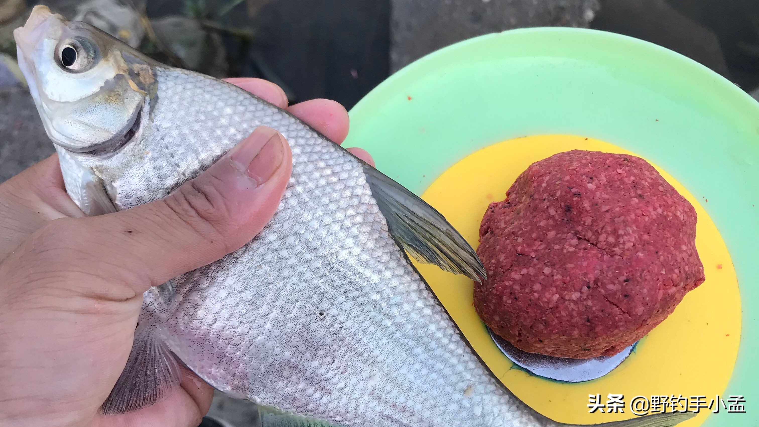 新手用无刺钩还是用有刺钩,新手用无刺钩