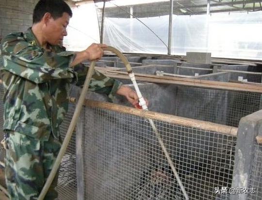 一万元养殖创业十大暴利养殖生意,农村利润很吓人的10个冷门养殖