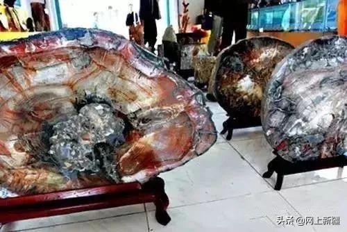 戈壁滩上的宝贝,新疆戈壁沙漠上的宝贝