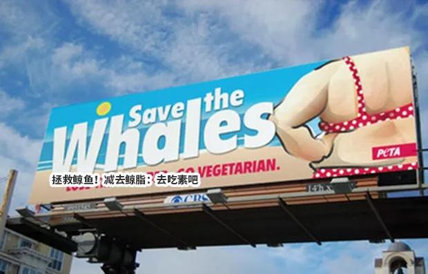 西方政治正确大逃杀:女权、LGBT、黑人谁能吃鸡?