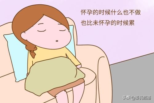 早孕怕炸胡？任意中五条童心妈妈恭喜你成功荣升准妈妈