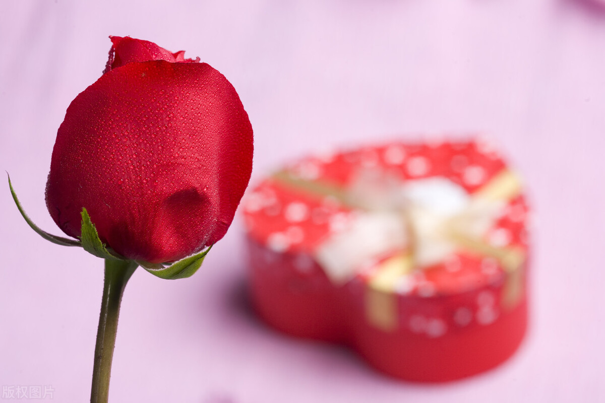 汪兰教授讲精神分裂,汪教授谈孩子抑郁症