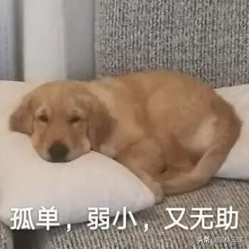 linux从入门到精通要学多久,linux零基础入门