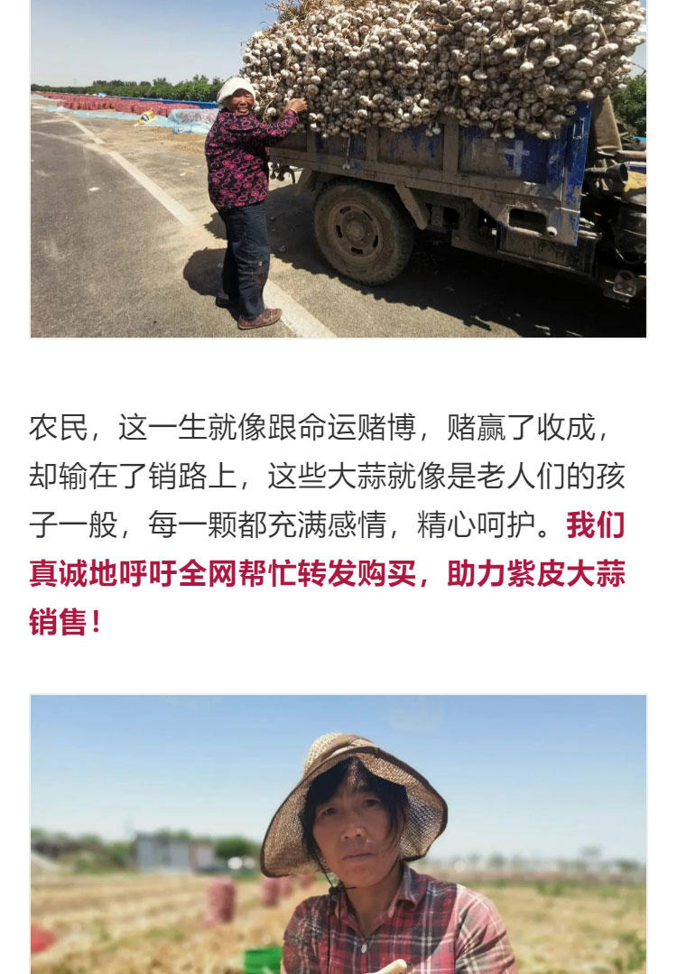 鍔╁啘鐧惧崄涓囦憨婊為攢澶ц挏,绱毊澶ц挏椴滆挏鍔╁啘5鏂よ