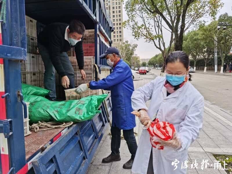 你们引领，我们追随！像张亚芬这样的道德模范，宁波还有很多