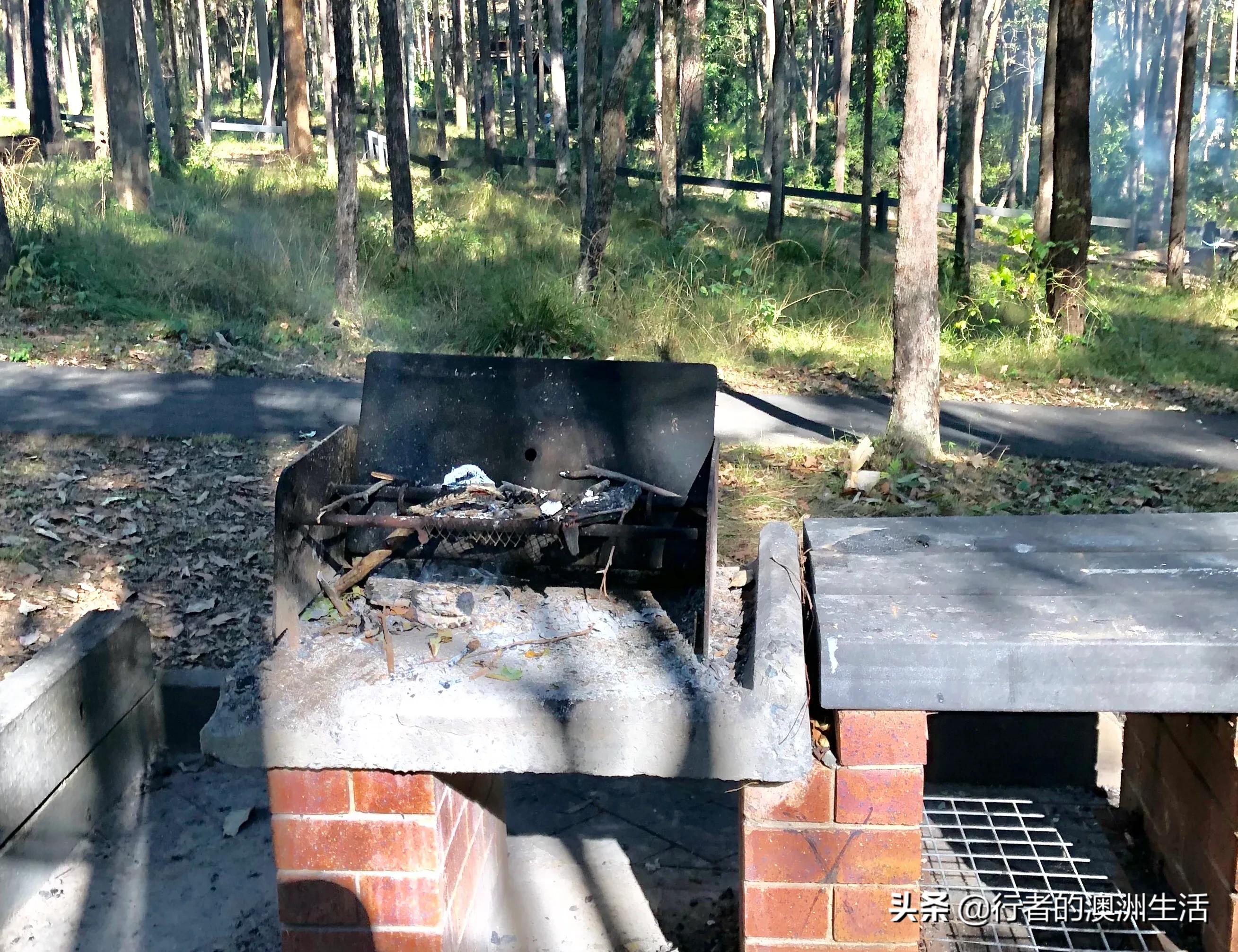 澳洲布里斯班的真实生活（2