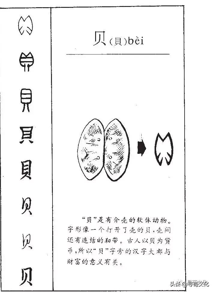 施汉字的艺术与中华姓氏文化,姓氏文化汉字艺术