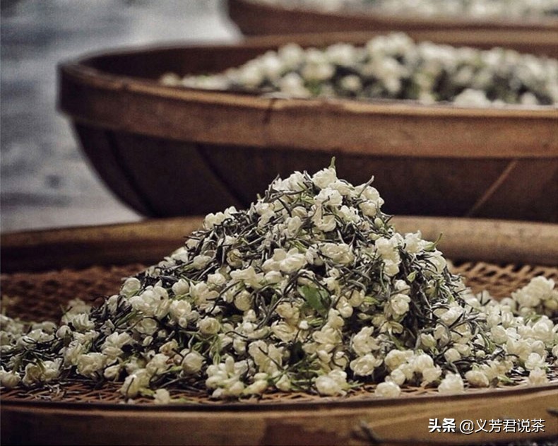 茉莉花茶为什么是低端茶,茶圈鄙视链白茶什么段位