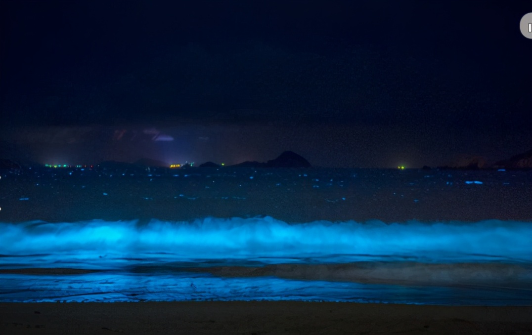 离上海近的荧光海,离上海很近的海