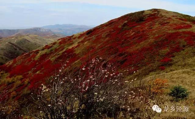 清代著名的诗人写的关于感情的诗,著名清代诗人写的诗句