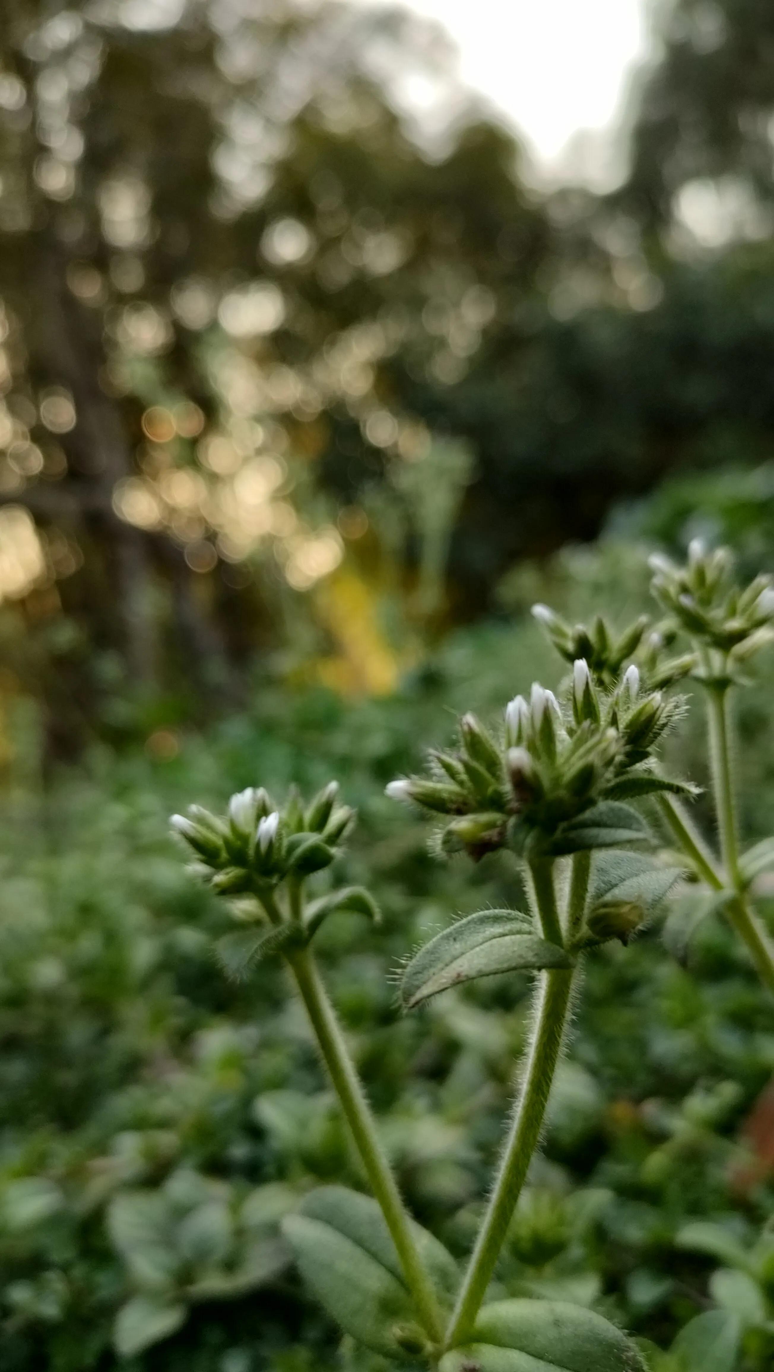 济南是一座美丽城市,济南梦想之城