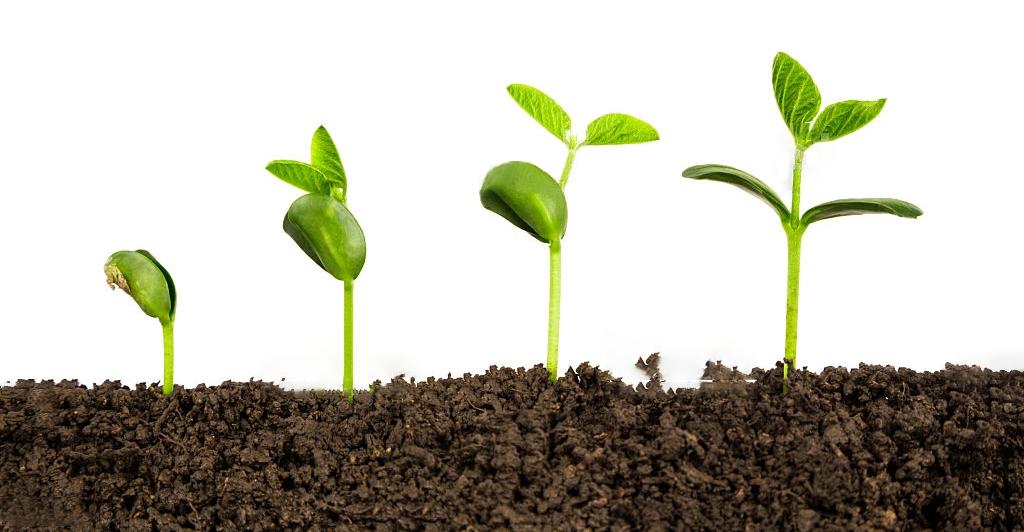 进来抄作业，启动子要这么选