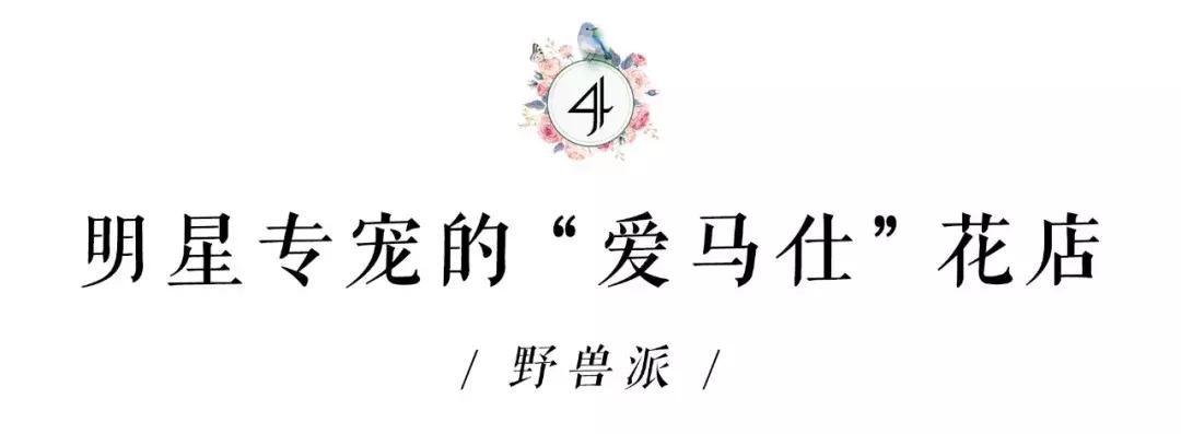 在花园里和鲜花为伴,在花店与鲜花为伴