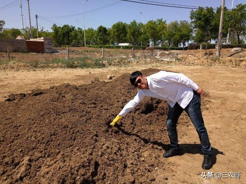 农村三大赚钱的项目有哪些,利润很吓人的10个冷门农村项目