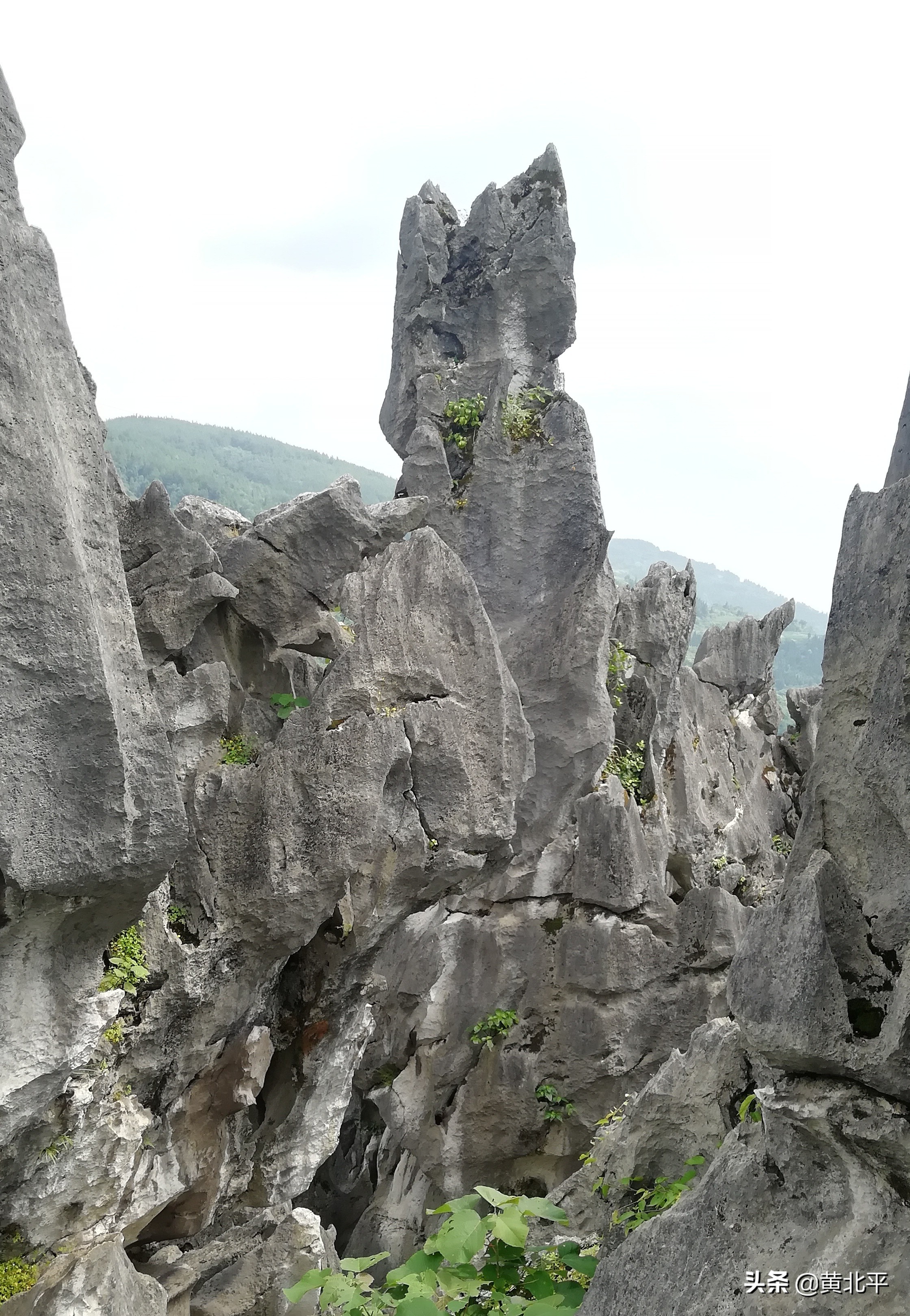 重庆合川三汇石林采风,三汇镇石林