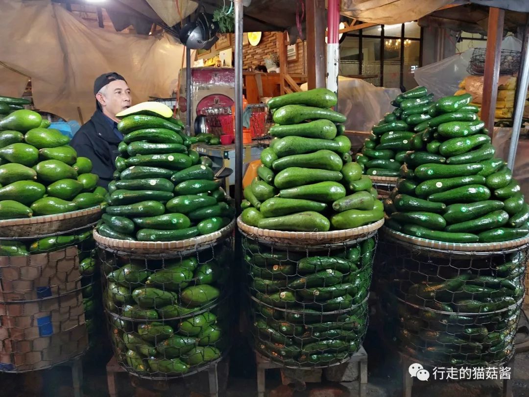 胡志明大叻美奈旅游攻略,越南胡志明美奈大叻地图