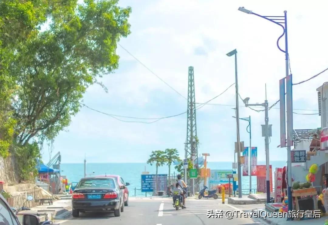 动物森友会无人岛一天可以去几次,动物森友会所有虫类图鉴