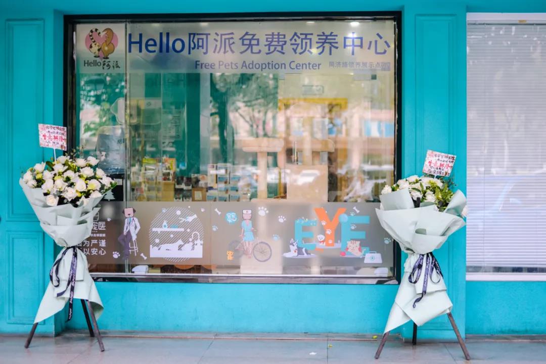 CPF活动预告|阿派第30届领养日——人间值得,只要它能与你相遇