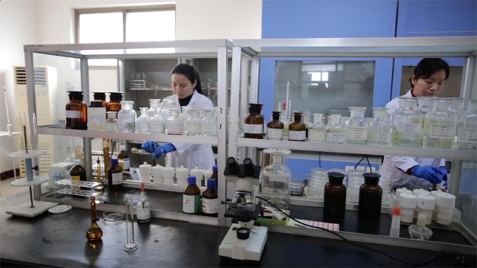 中国平安专业为客户创造价值,中国平安能为客户提供什么服务