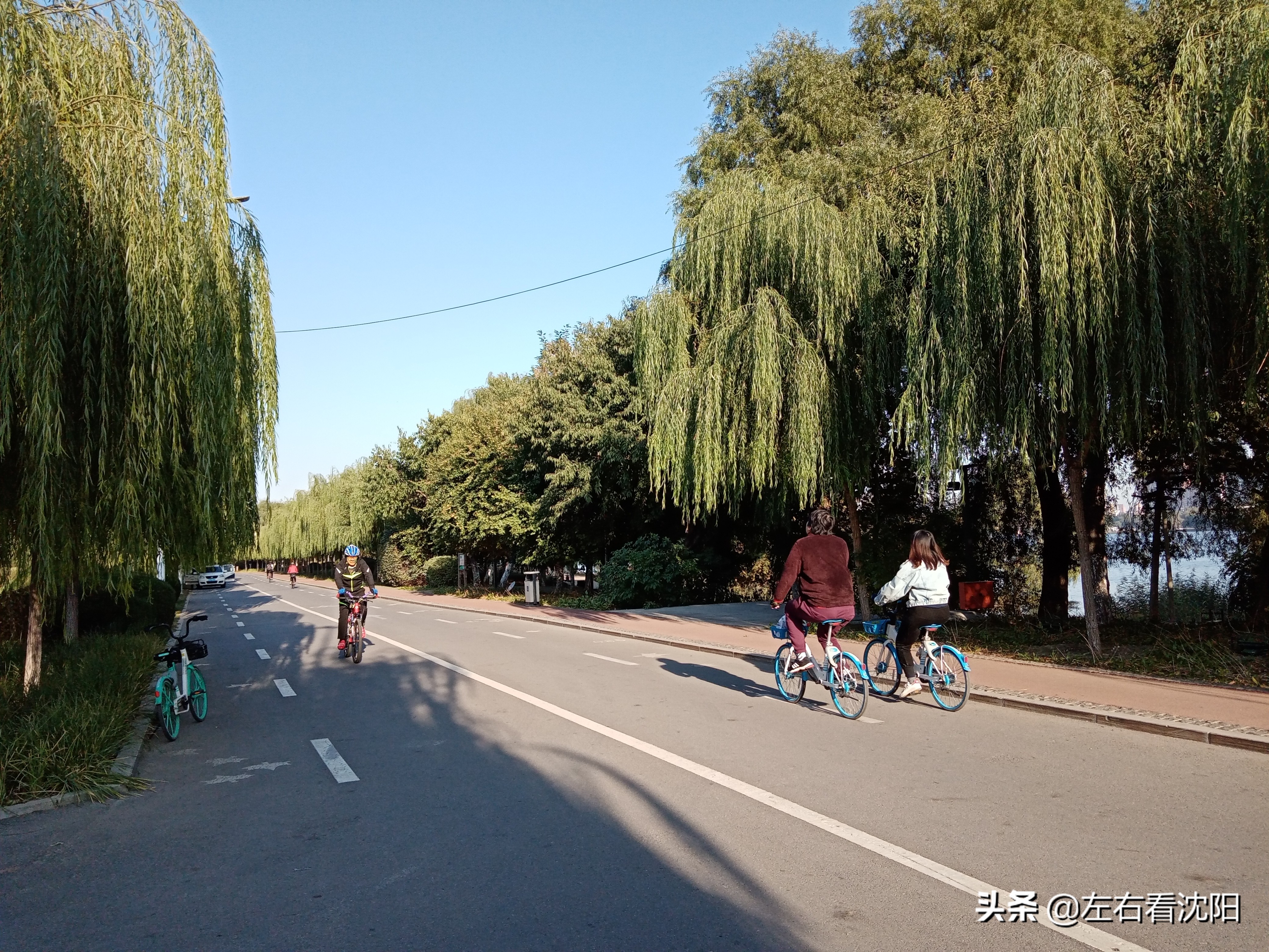 沈阳五里河公园攻略,沈阳五里河公园现在开吗