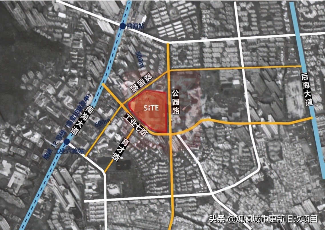 蛇口体育中心最新消息,蛇口体育中心在哪里