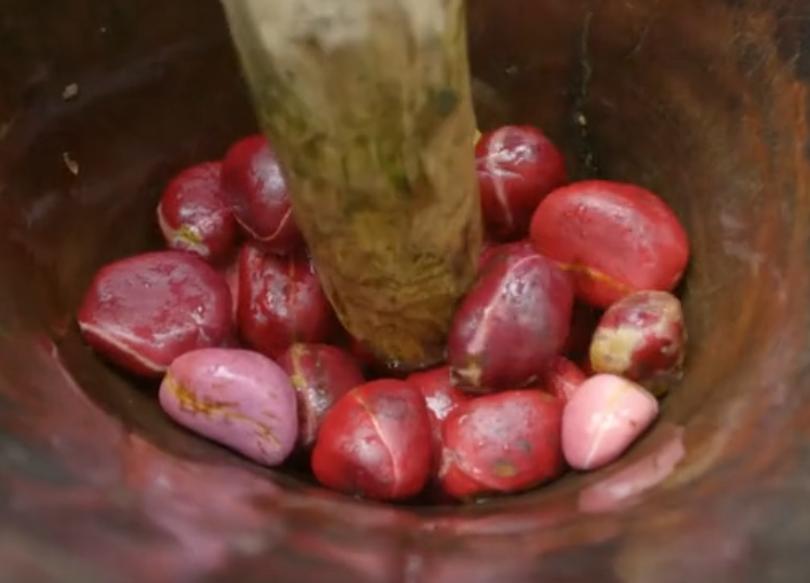 可乐是树上长的吗 (可乐可以长在树上吗)