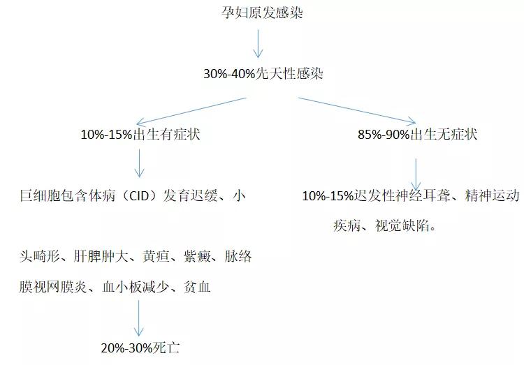 熊承良医生怎么样,torch感染实验指标