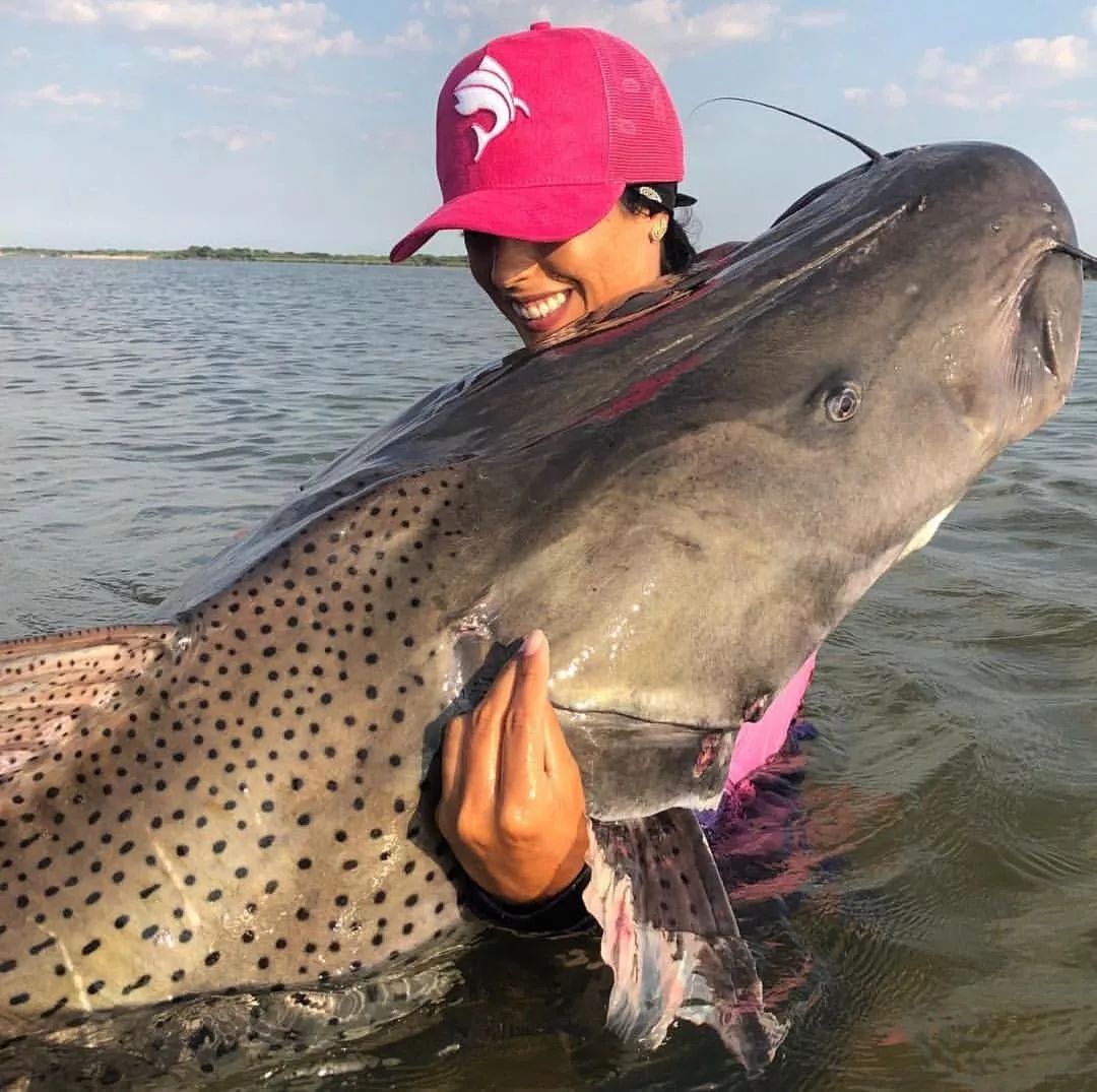 世界十大凶猛淡水鱼类,顶级淡水鱼类
