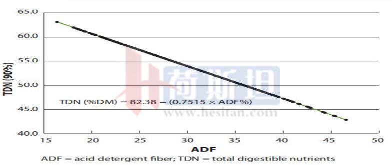 乐源牧业现有几个牧场,乐源牧业大名县牧场