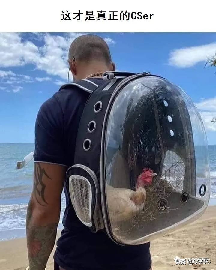 「搞笑图集」怎样证明自己是真正的CSer
