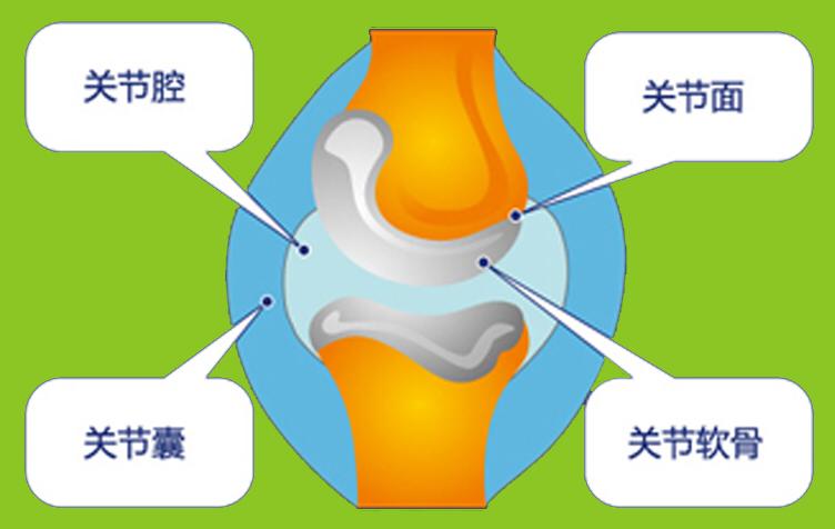 什么人吃氨糖软骨素最好,什么人不适合吃氨糖软骨素钙片