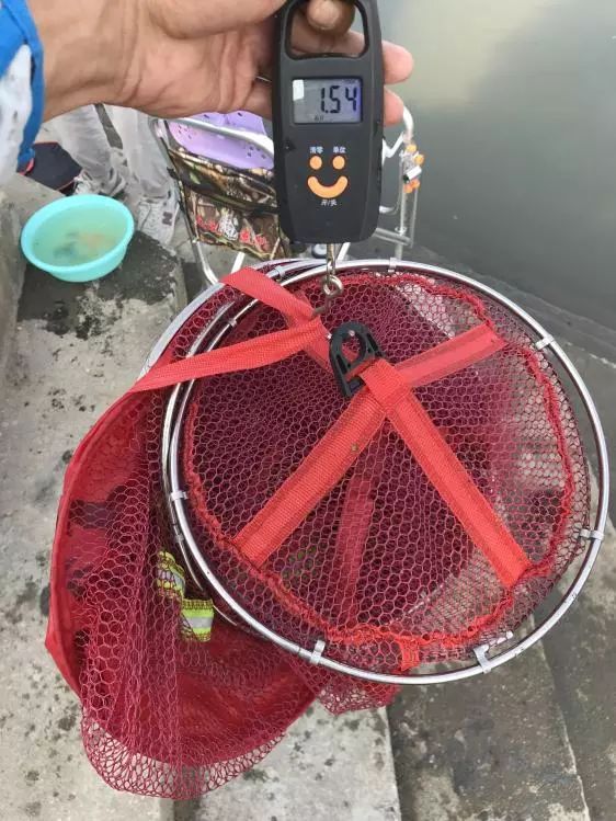 友人相约-本汀七迦爽爆竿